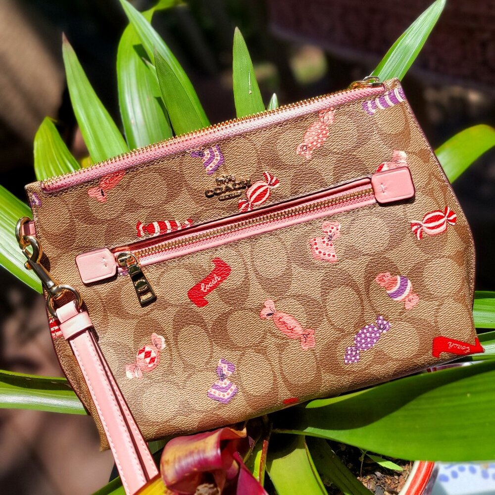 Coach Rowan C1392 Rare Candy Pattern Pouch Bag